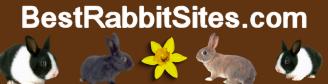 rabbits