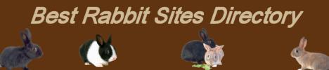 Rabbit Topsites 480 x 100 banner